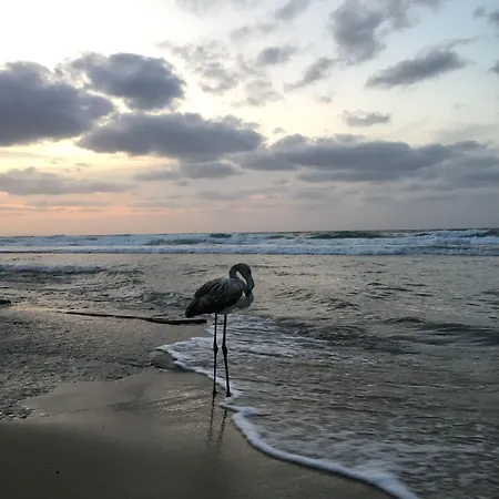 Bed Sandalia Nocleg ze śniadaniem