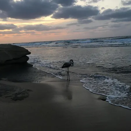 Bed Sandalia Bed & Breakfast 3*