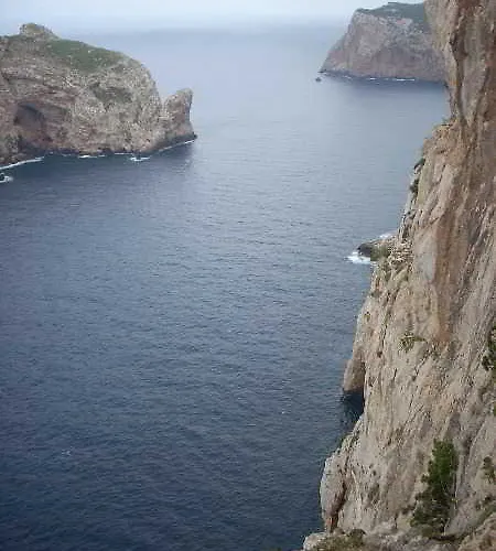 Bed Sandalia 巴德希