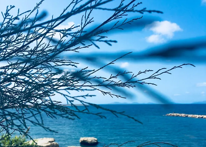 Bed Sandalia 巴德希