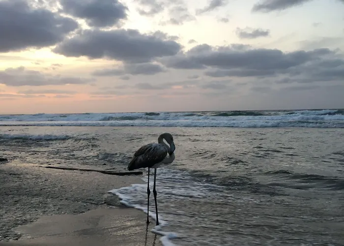 Bed Sandalia Panzió