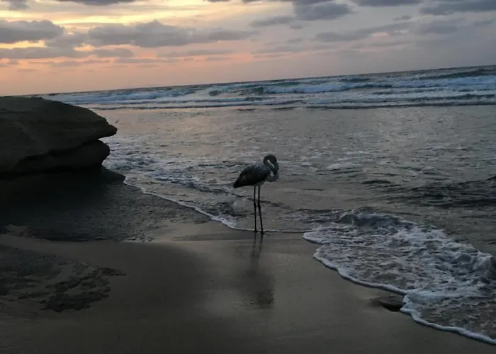 Bed Sandalia 住宿加早餐酒店 3*